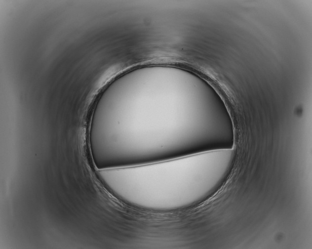X0000098081459200804040740