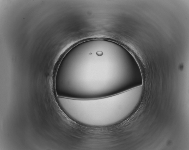 X0000098081460200804040740