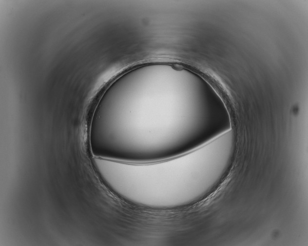 X0000098081461200804040740