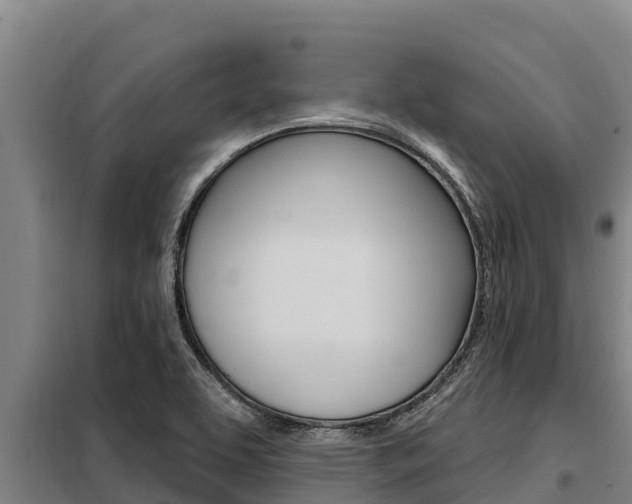 X0000098081463200804040740