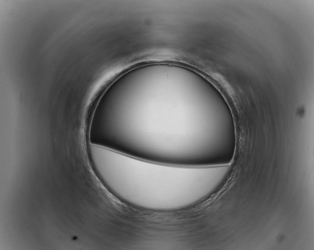 X0000098081464200804040740