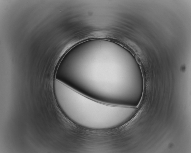X0000098081465200804040740