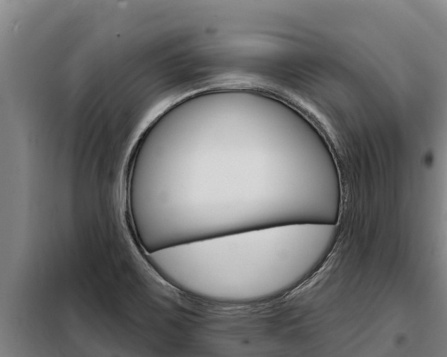 X0000098081467200804040740