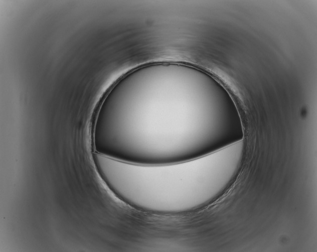X0000098081468200804040740