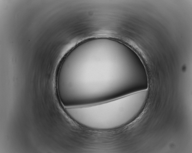 X0000098081469200804040740