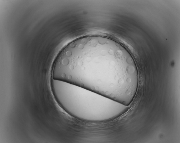 X0000098081471200804040740