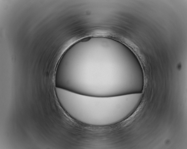 X0000098081473200804040740