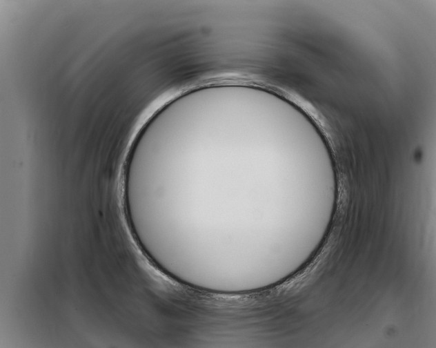 X0000098081474200804040740