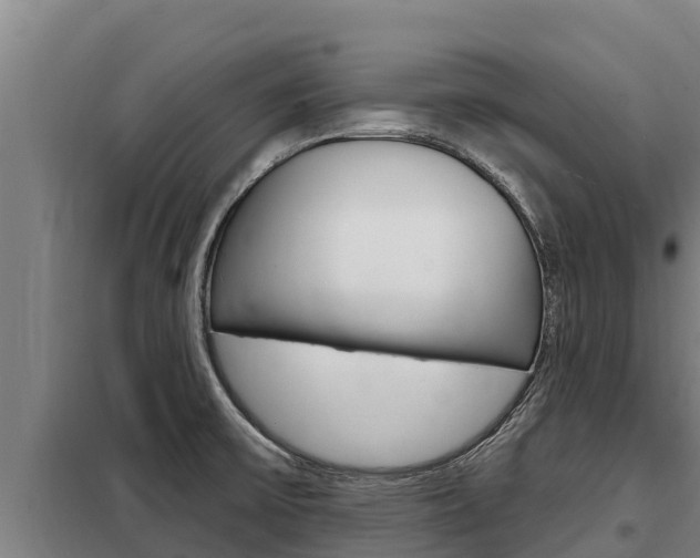 X0000098081475200804040740