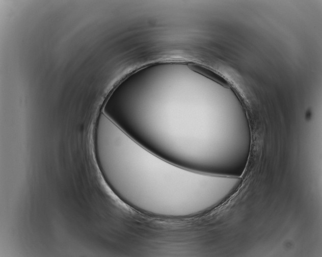 X0000098081476200804040740