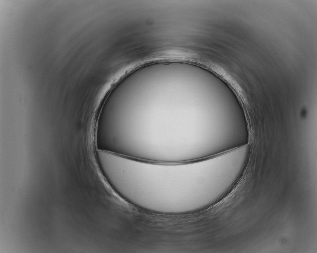 X0000098081477200804040740