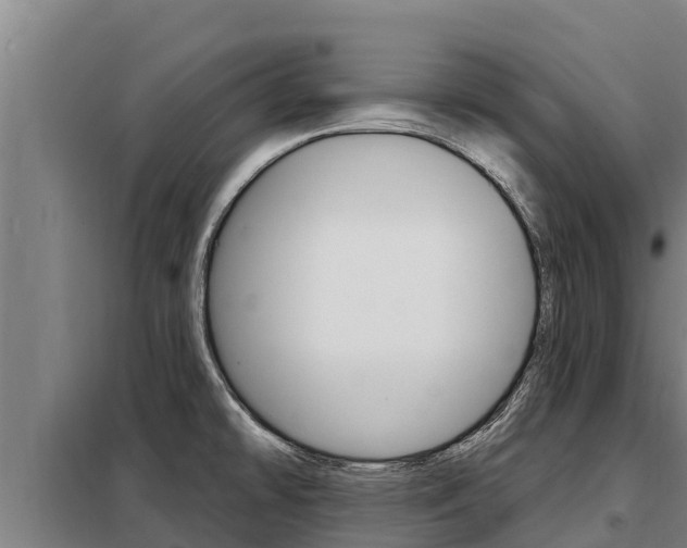 X0000098081478200804040740