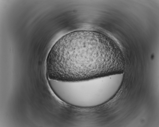 X0000098081479200804040740