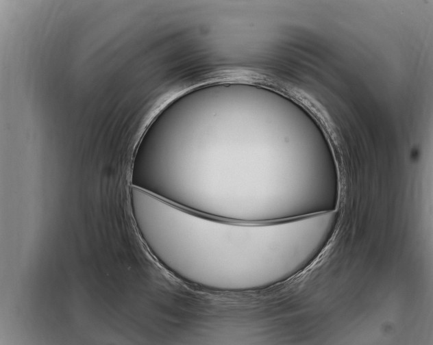 X0000098081481200804040740