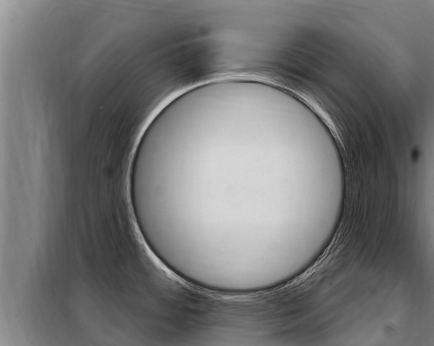 X0000098081484200804040740