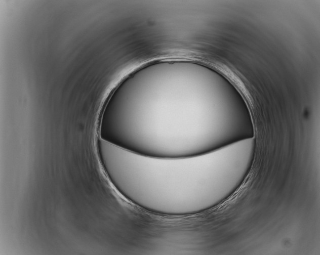 X0000098081485200804040740