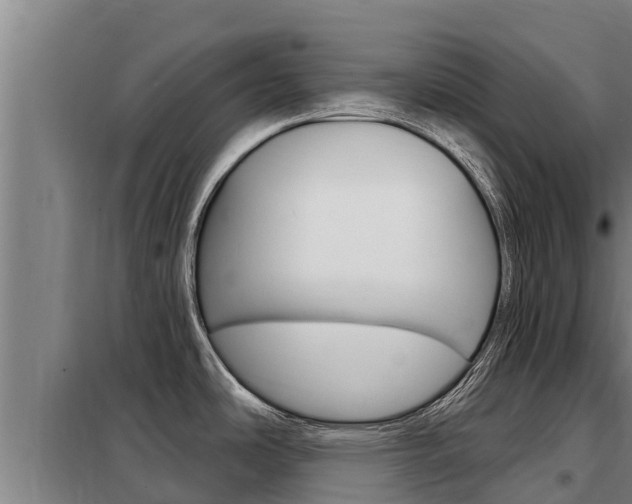X0000098081486200804040740