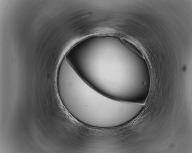 X0000098081488200804040740