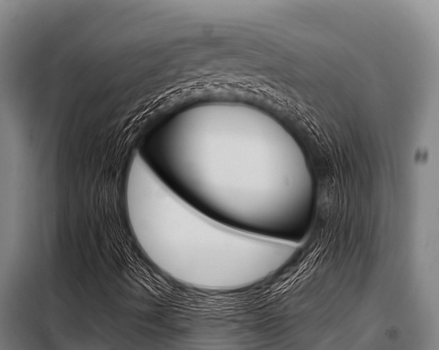 X0000098081490200804040739