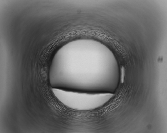 X0000098081491200804040739
