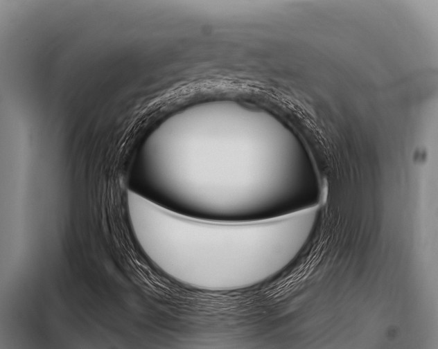 X0000098081492200804040739
