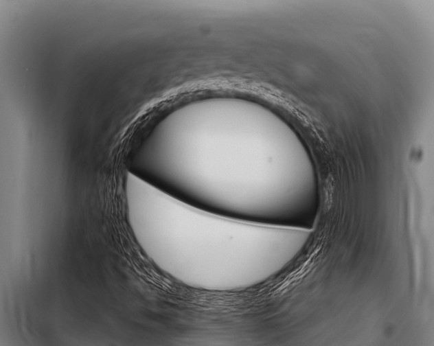 X0000098081494200804040739