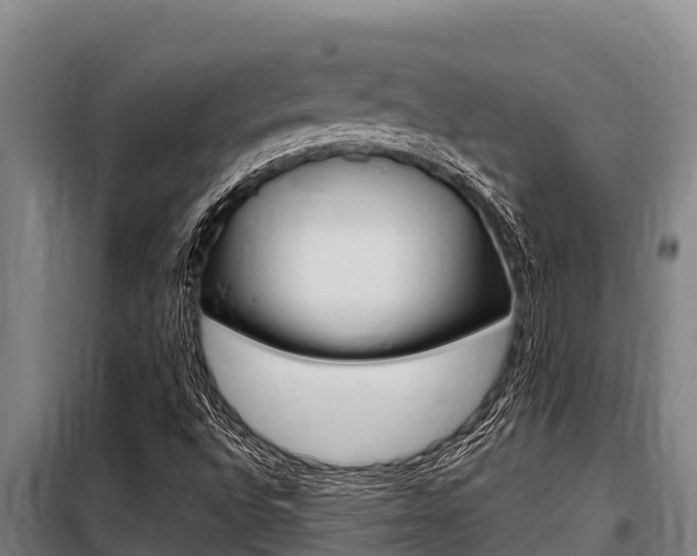 X0000098081496200804040739