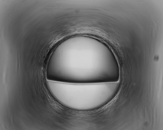 X0000098081497200804040739