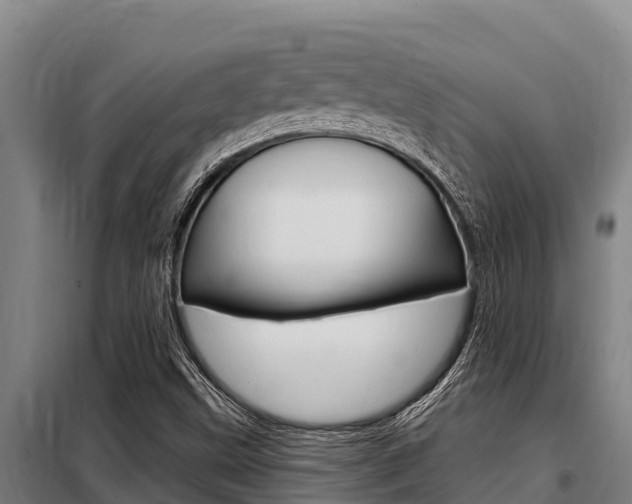 X0000098081499200804040739