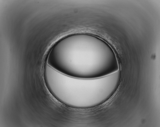 X0000098081500200804040739