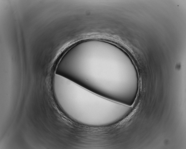 X0000098081501200804040739