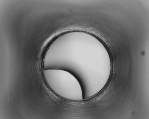 X0000098081502200804040739