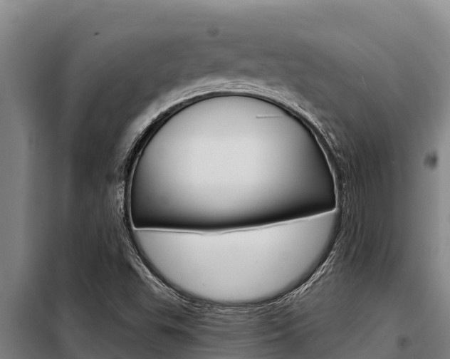 X0000098081503200804040739