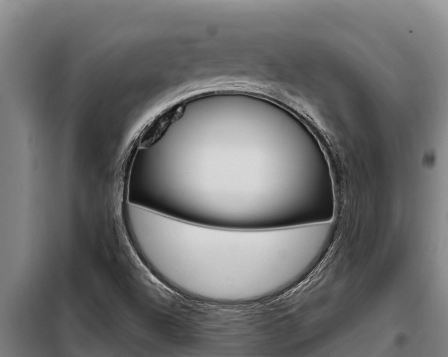 X0000098081504200804040739