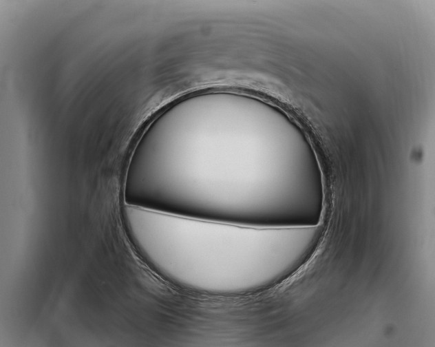 X0000098081505200804040739