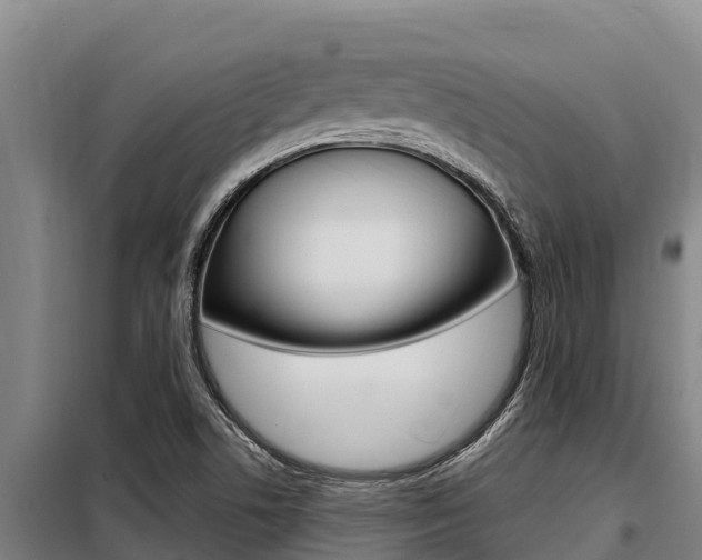 X0000098081506200804040739