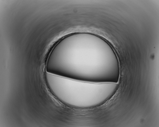 X0000098081507200804040739