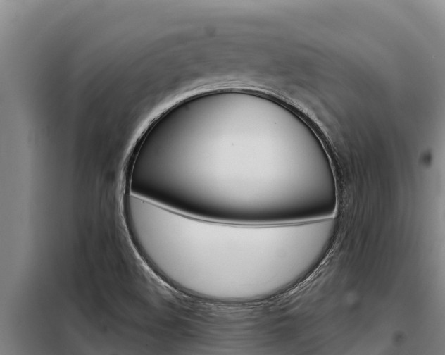 X0000098081508200804040739