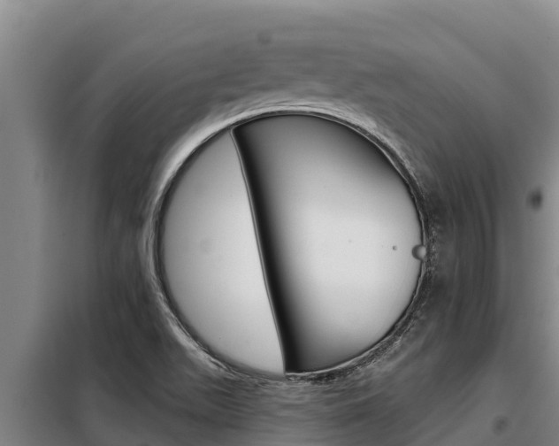 X0000098081511200804040739