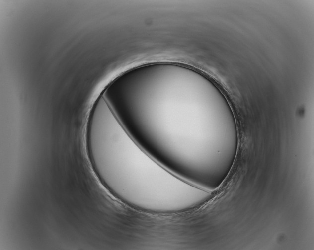 X0000098081512200804040739