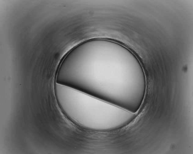 X0000098081513200804040739
