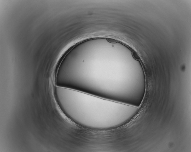 X0000098081515200804040739
