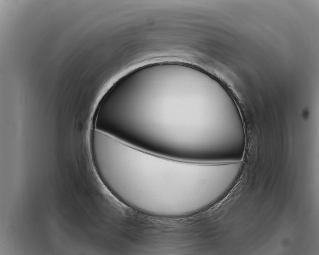 X0000098081516200804040739
