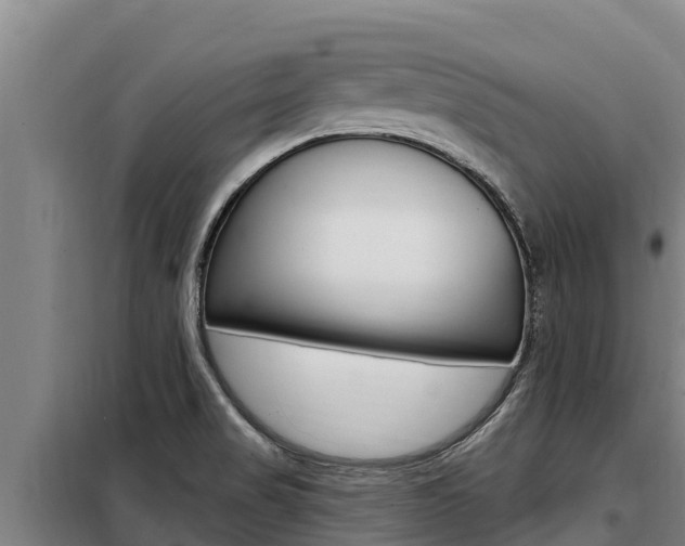 X0000098081517200804040739