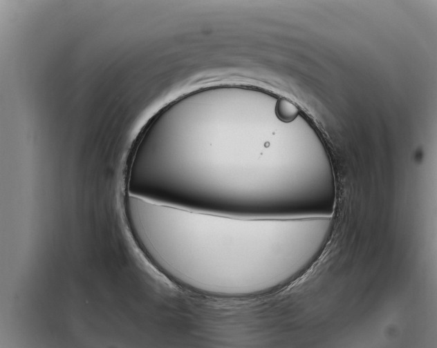 X0000098081518200804040739