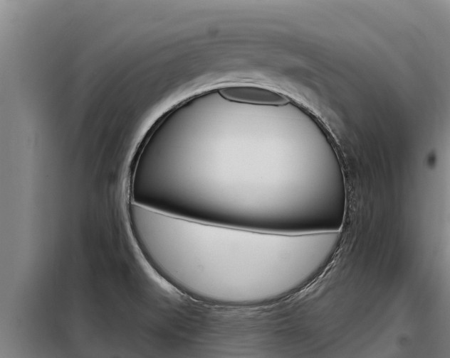 X0000098081519200804040739