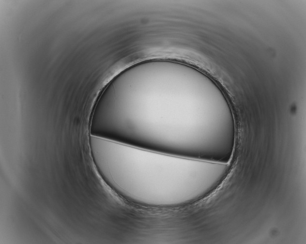 X0000098081521200804040739