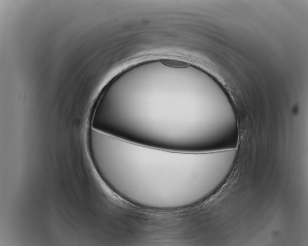 X0000098081523200804040739