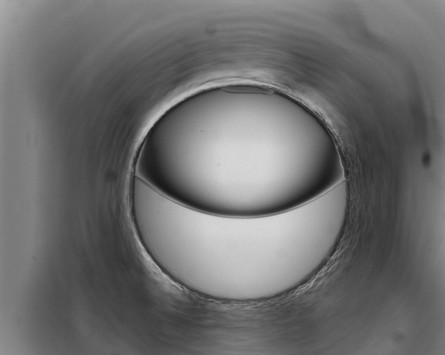 X0000098081524200804040739