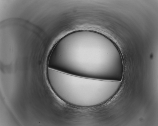 X0000098081525200804040739